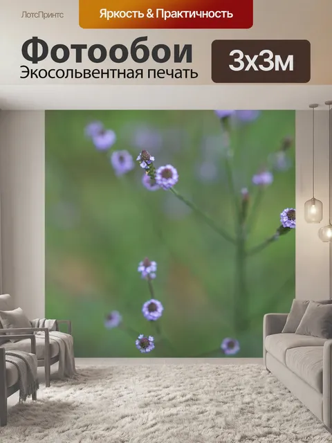 Фотообои Цветы