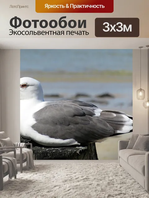 Фотообои Животное