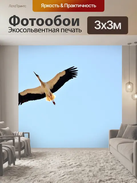 Фотообои Аист