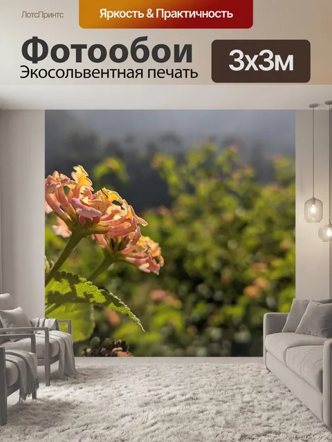 Фотообои Цветы