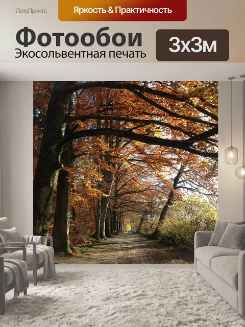 Фотообои Лес
