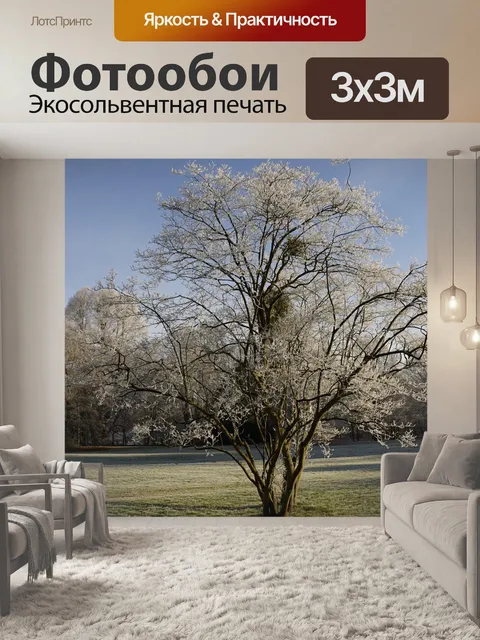 Фотообои Парк