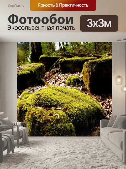 Фотообои Мох