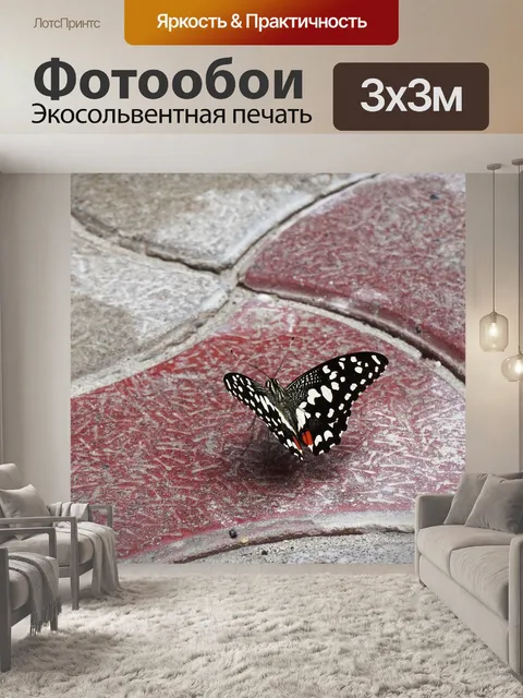 Фотообои Бабочка