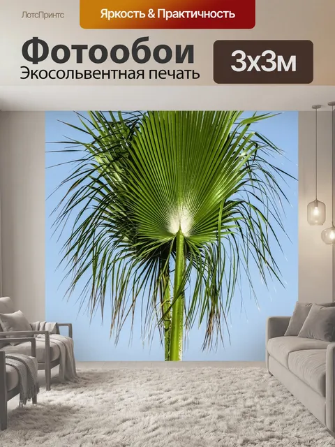 Фотообои Ладонь