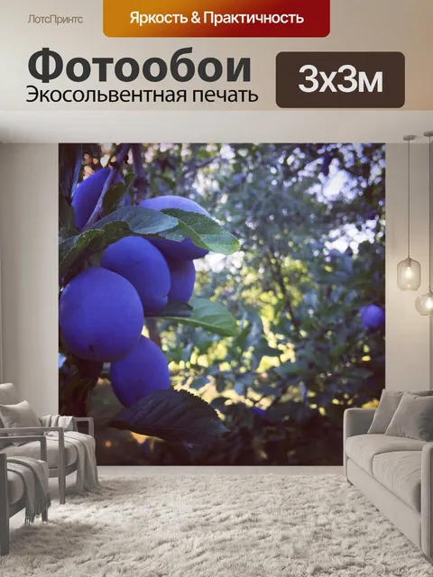 Фотообои Слива