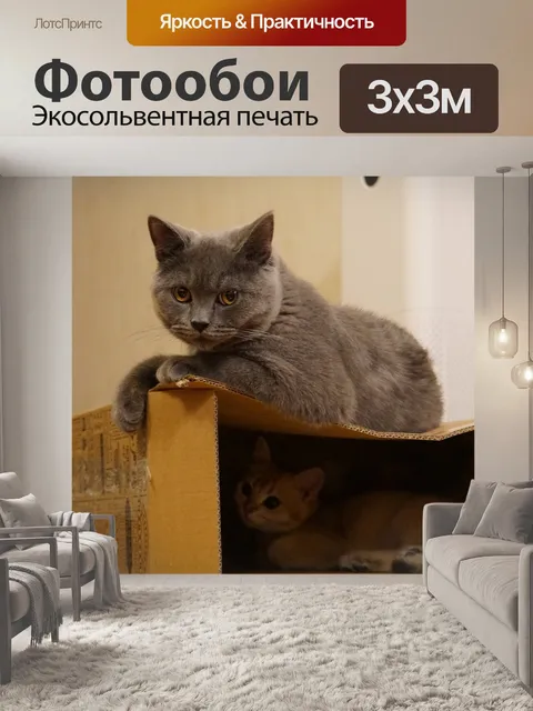 Фотообои Кошка