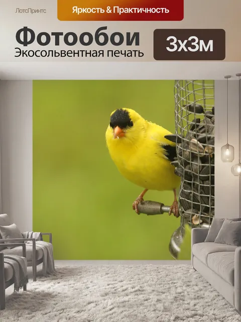 Фотообои Птицы