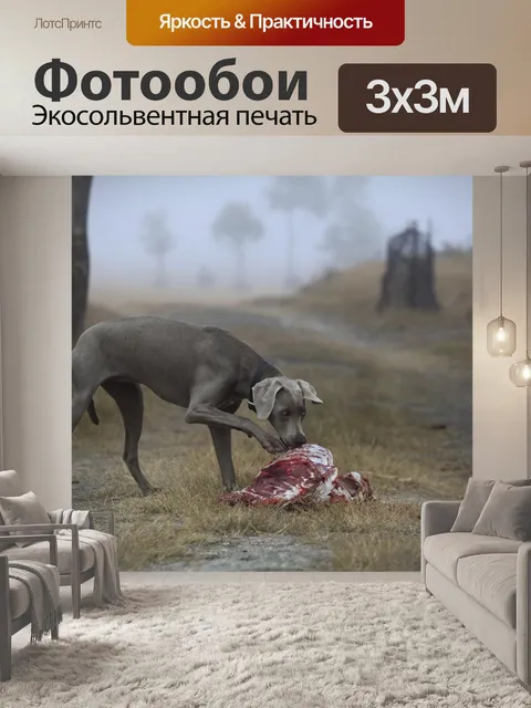 Фотообои Собака