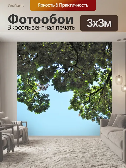 Фотообои край большого дерева на фоне неба