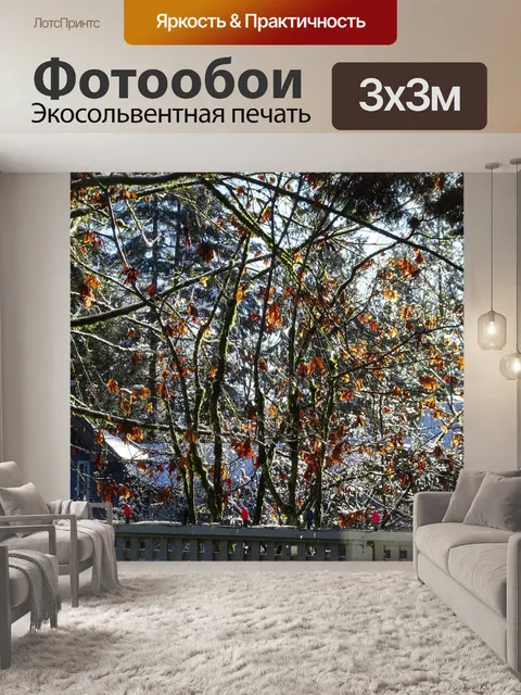 Фотообои замороженные деревья