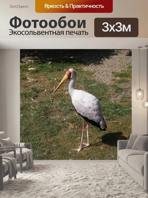 Фотообои Аист