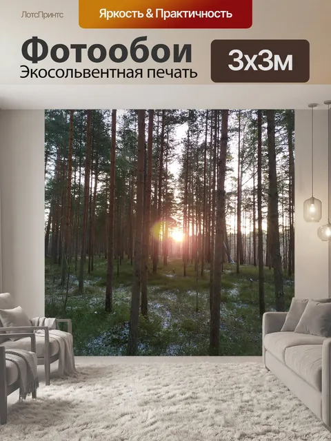Фотообои Лес
