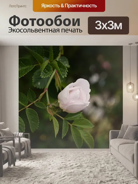 Фотообои Äppelblomster