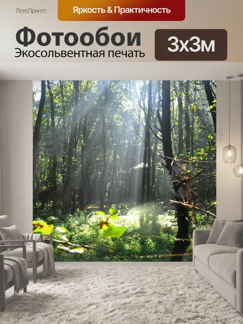 Фотообои Лес