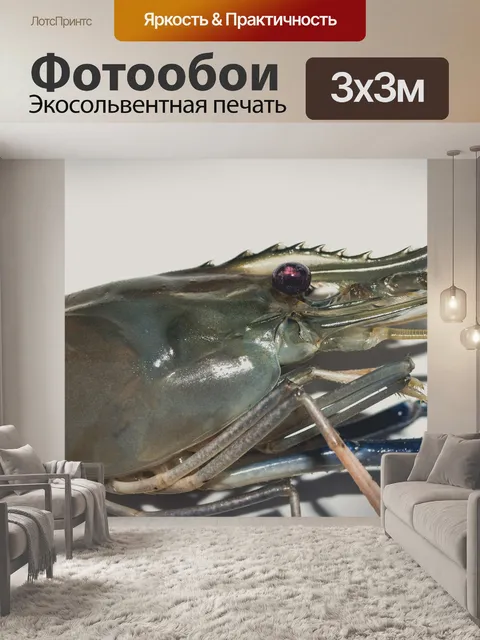 Фотообои Свежие приготовленные креветки фон мореп