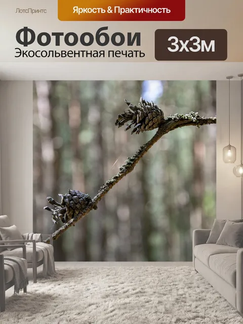 Фотообои Шишка
