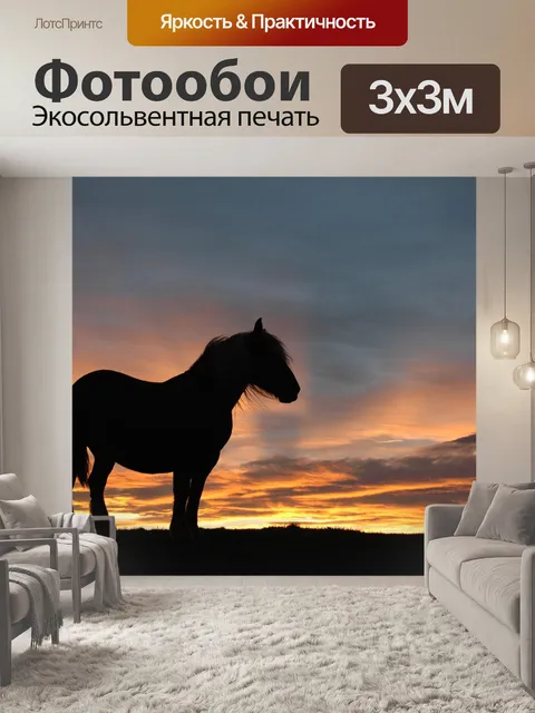 Фотообои Лошадь