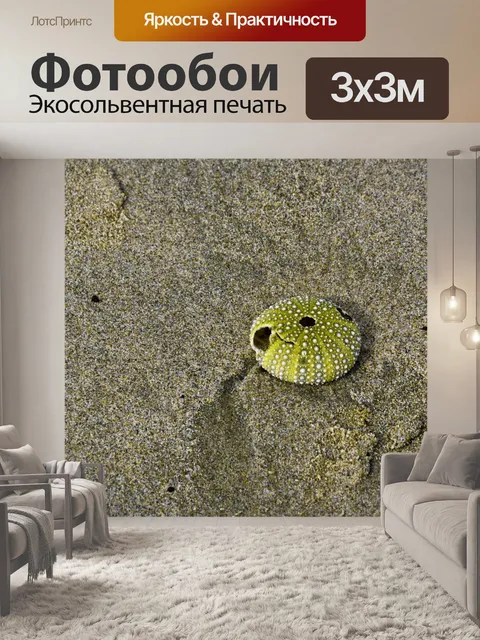 Фотообои Зеленый Anemone