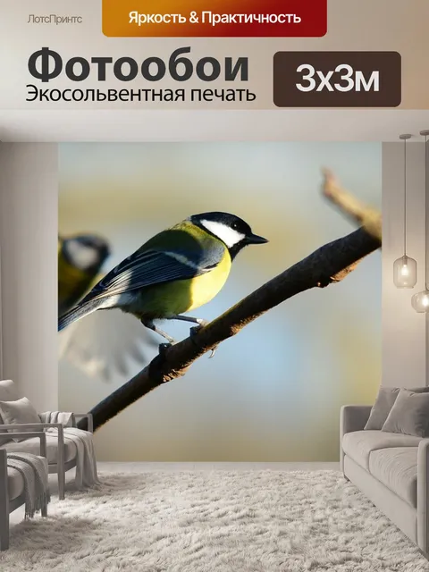 Фотообои Московки