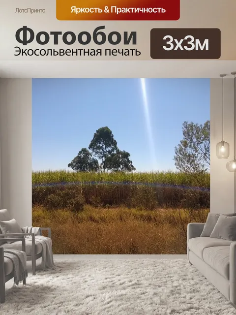 Фотообои Заход солнца