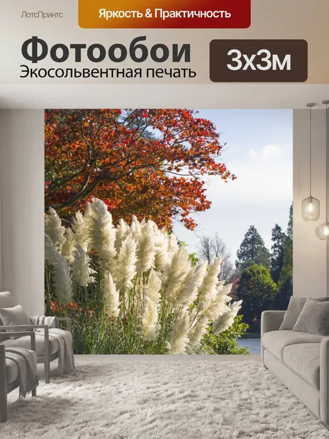 Фотообои Пампасная трава