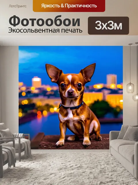 Фотообои чихуахуа на фоне вечернего города