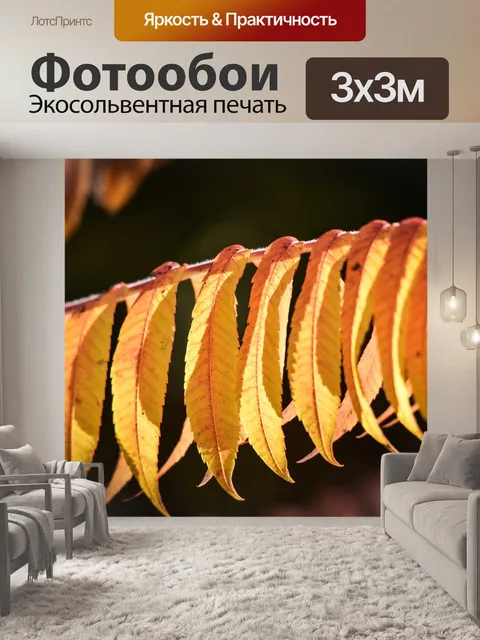 Фотообои Падение