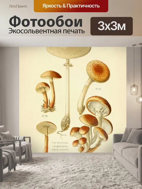 Фотообои Винтажная иллюстрация грибов чемпиона