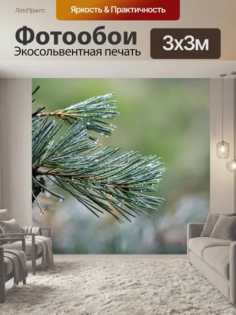 Фотообои Роса
