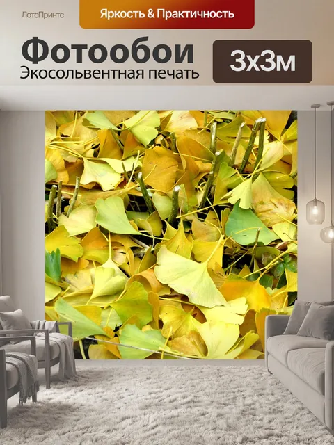 Фотообои Листья гинкго