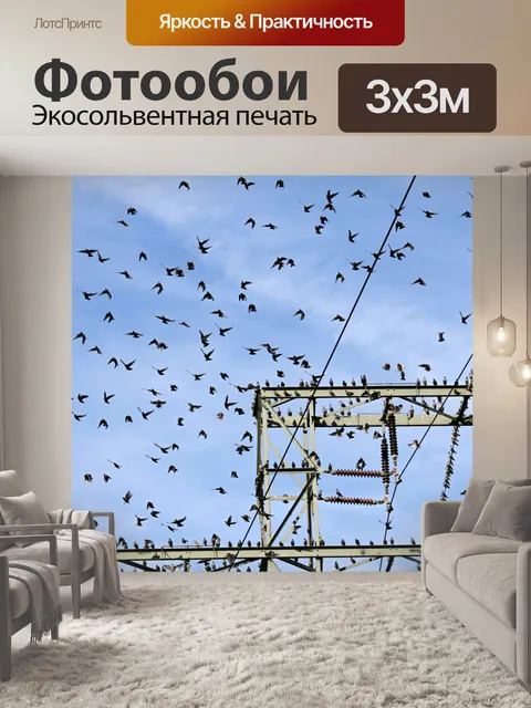 Фотообои Звезда