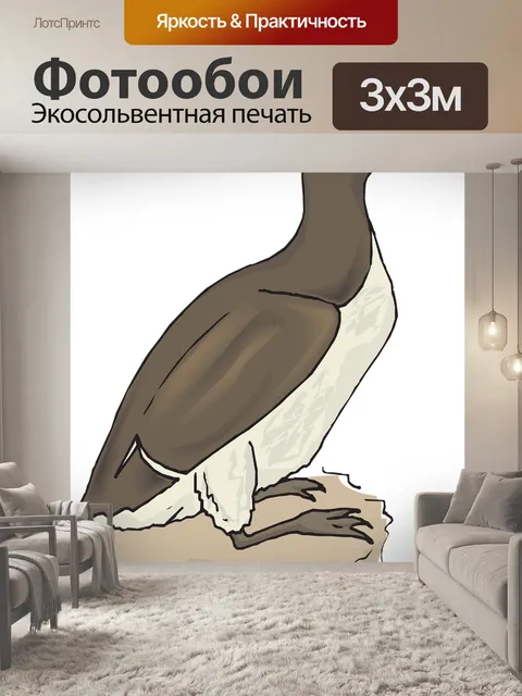 Фотообои Птица