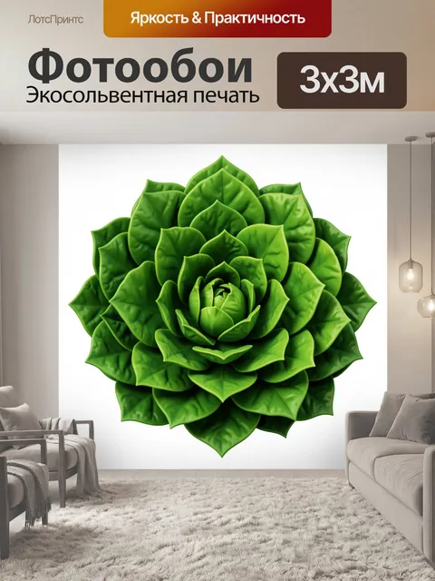 Фотообои Зелёный рельефный суккулент-розетка
