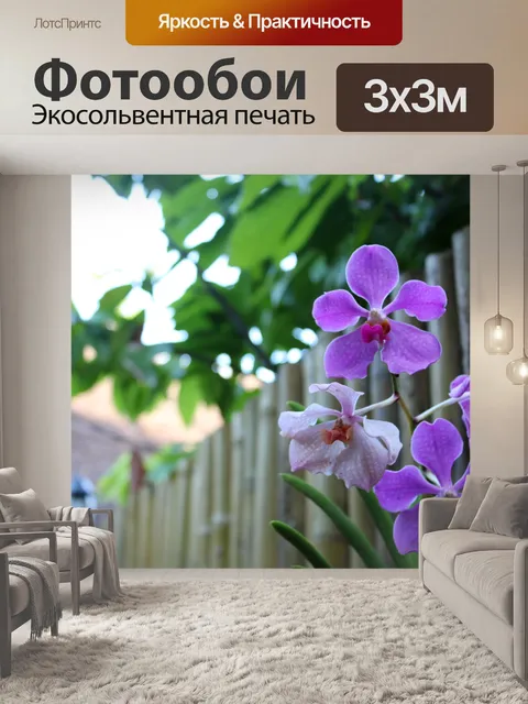 Фотообои Орхидеи в моем дворе