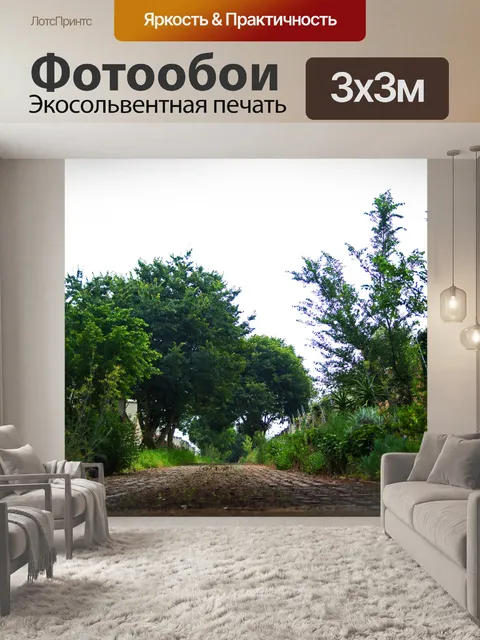 Фотообои вид сверху на дорогу и деревья