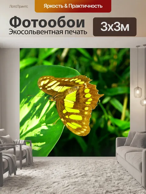 Фотообои Бабочка