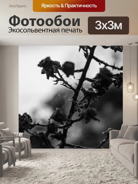 Фотообои Закрывать