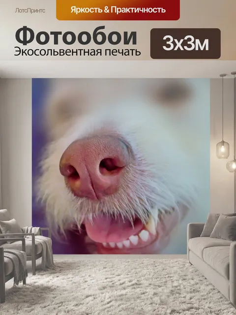 Фотообои Собака