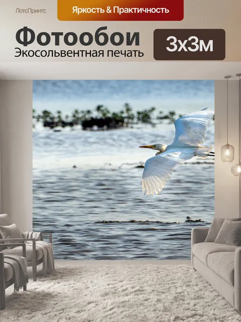 Фотообои Цапля