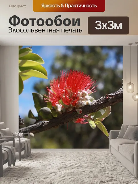 Фотообои Дерево