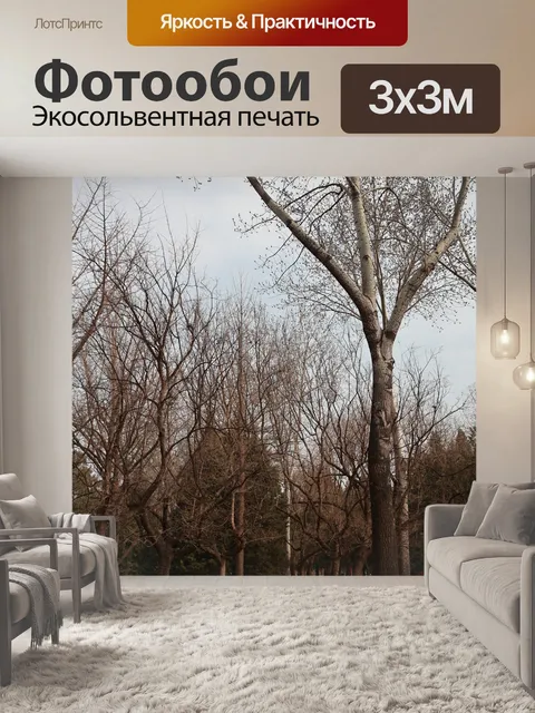 Фотообои Деревья