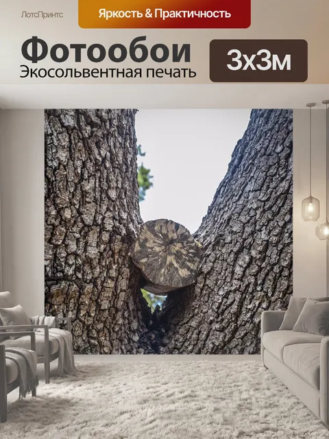 Фотообои Tricky