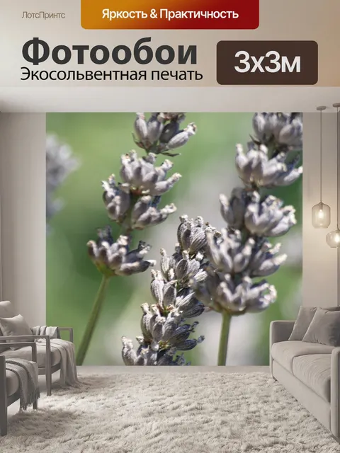 Фотообои Лаванда