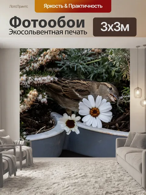 Фотообои Воробей