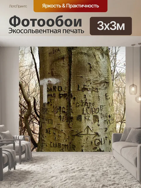 Фотообои Дерево