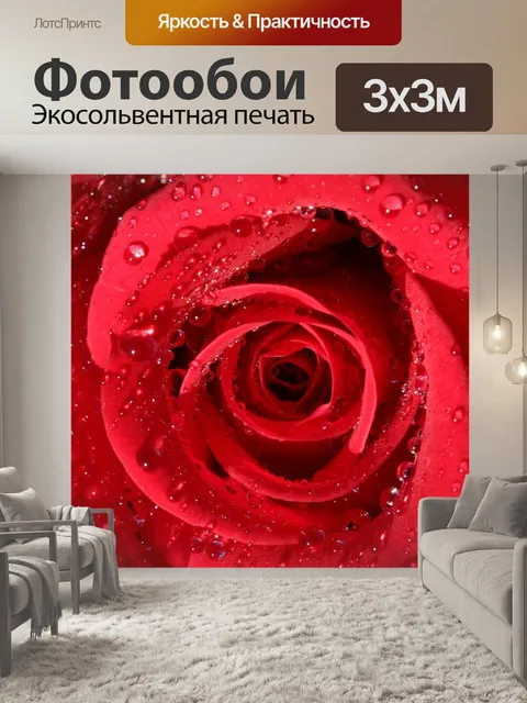 Фотообои Роза