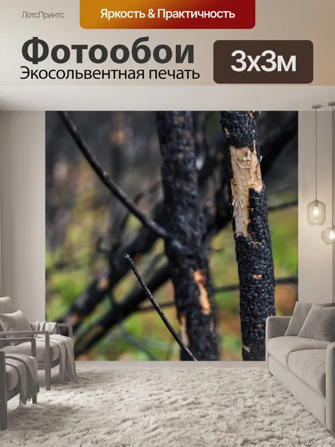 Фотообои Деревья