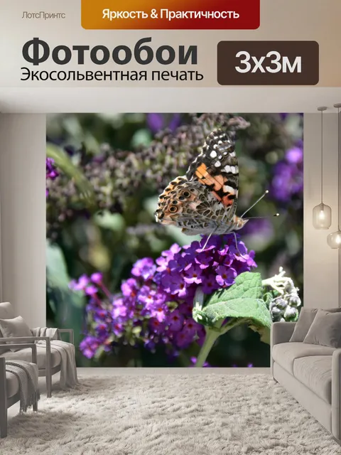 Фотообои Нарисованная Леди Бабочка на Лаванде