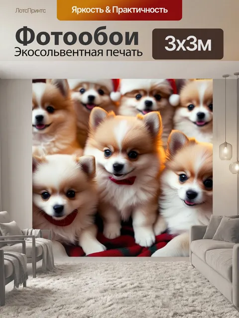 Фотообои щенки шпиц, пушистые питомцы, новогодние шапочки, рождественские шарфы, мягкий плед,